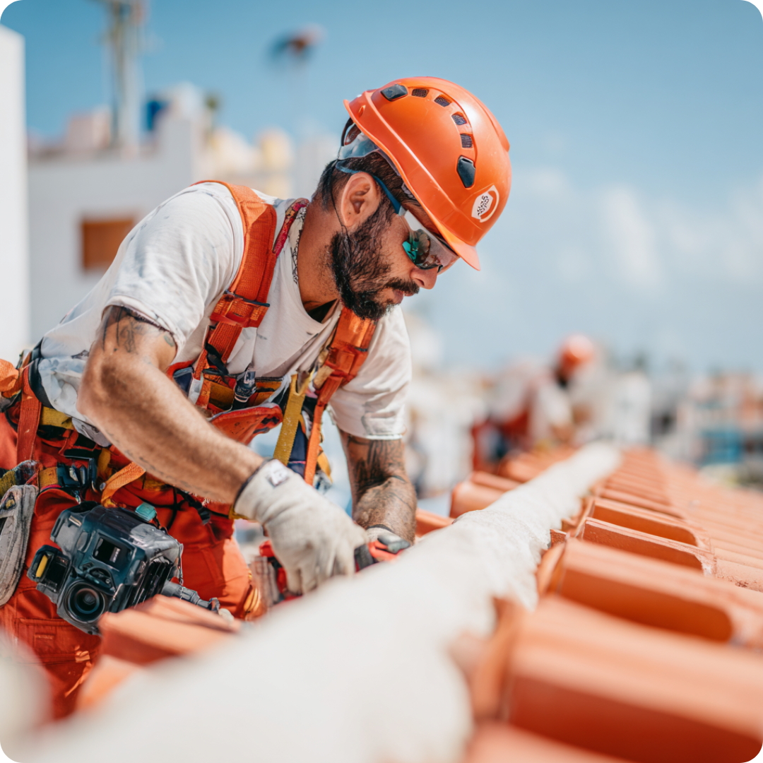 Professional Roofing Services